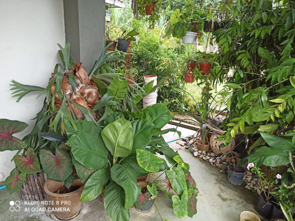 Bdr Bukit Tinggi Klang Tropicana Garden Homestay Zewnętrze zdjęcie